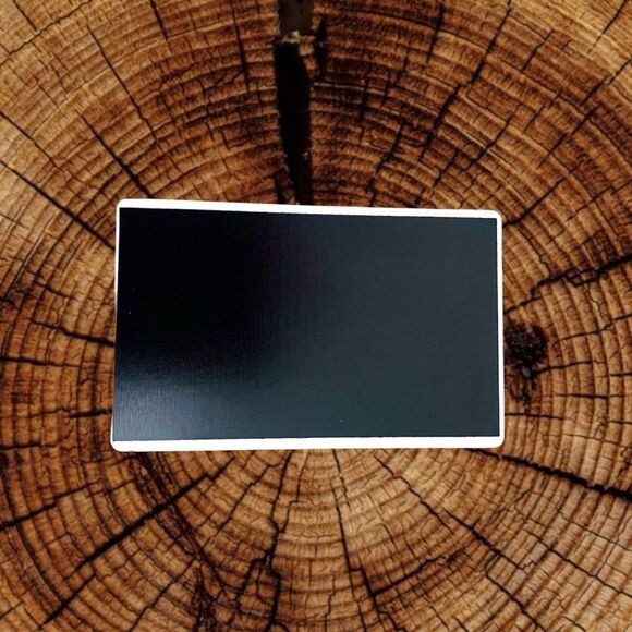 Trump Magnet - Picture 2 of 2